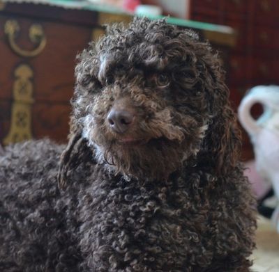 Charlie
