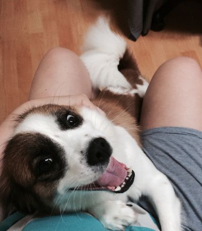 Molly