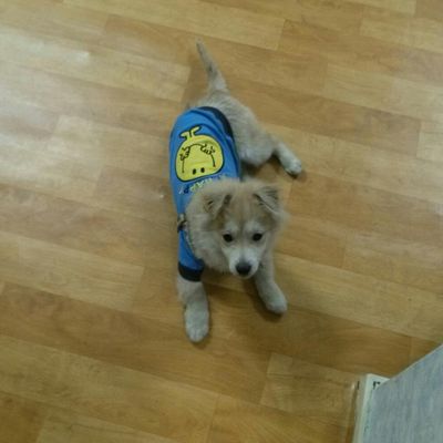 Winston