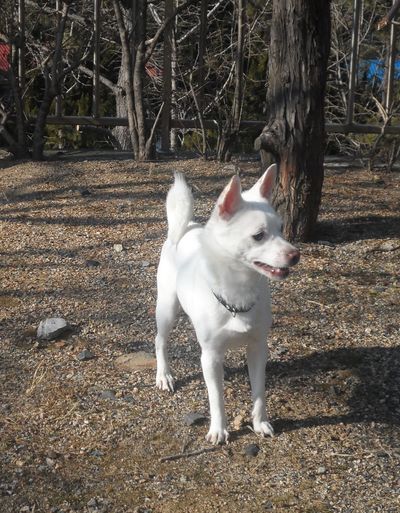 Snowy ===URGENT===
