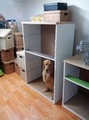 Landlords - Suggestions on How to Deal With Issues