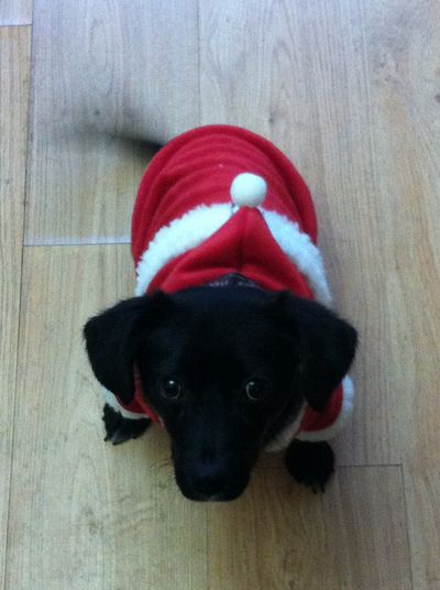 Richie - after abuse everyone deserves a second chance.