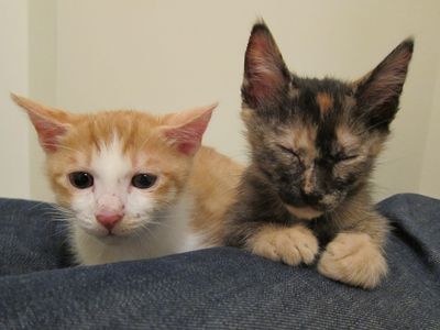 Sammy and Vera