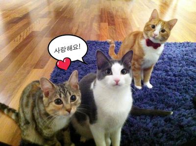 수수+코딱지+애기