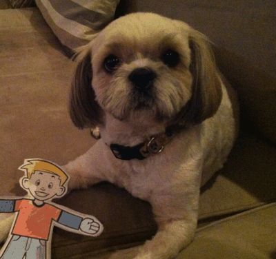 Georgie (Sanderson)