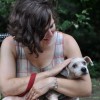 Volunteer holding small dog