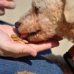 "I love my treat too!"