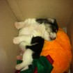 When I could fit into a small box!