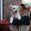 Woman holding small white dog