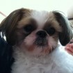 This is what Bailey looks like without Instagram.