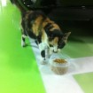 Alice in the parking garage where she was rescued.