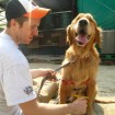 Max was very excited to be finally getting some attention.