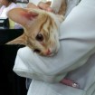 Purring up a storm!