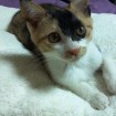 Vivienne relaxing.
