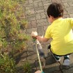 Walking and getting attention from his little friend. 