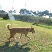 Gunny is loving his time at the training centre! Nov 2013