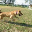 Gunny is loving his time at the training centre! Nov 2013