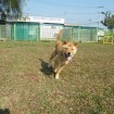 Gunny is loving his time at the training centre! Nov 2013