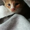 Beautiful Baby boy