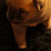 Ari side shot at 4 weeks