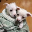 Marty and Donna post first bath! 