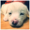 Look at my nose!