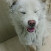 This is me when I was dirty, but I'm still cute!