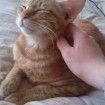 look at this happy face. such cute.
