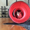 Nonna in her new house, in her tunnel