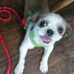 June 13, 2014. Last night before adoption. Look at that smile!