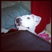 I'm not begging... just looking at you. 