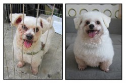 Fatty's "before and after" <3