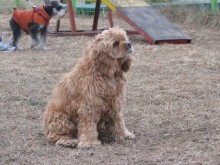 Fluffy little chub-a-chub!