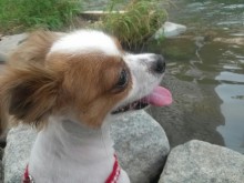 She has left her foster home and is ready for her family.