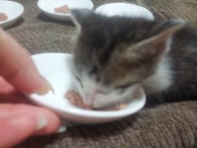 Learning to eat! 