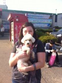 Gongju with her new foster mom!