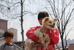 Being carried around by her new friend and loving it. 23/03/2014