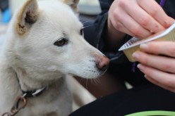 Ntombi loved getting some yummy treats! 31 March 2014