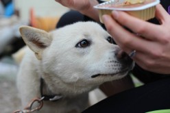 Ntombi loved getting some yummy treats! 31 March 2014