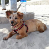 She seemed to like the feel of the sand.