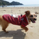 At a beach in Namhae. It was chilly at first. Then it got really hot.