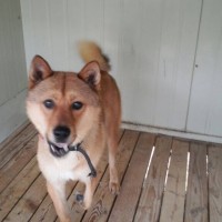 Lookin' handsome!