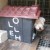 Shelter dog in dog house