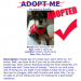 Example adoption poster