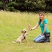 Trainer and dog hi-five