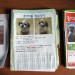 Korean lost dog posters