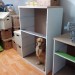 Moving boxes, empty shelves and dog
