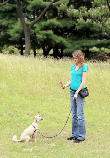 Trainer gestures dog to stay